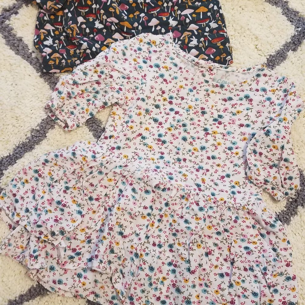 Genuine Kids size 18 month dress and shirt